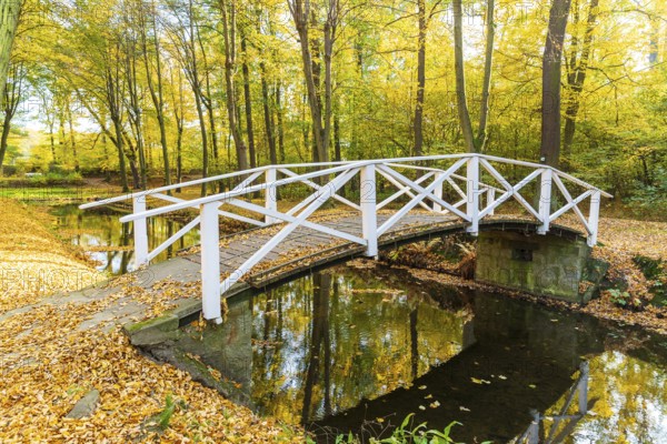 Bridge over the castle moat in autumn, park of Hermsdorf Castle, Ottendorf-Ockrilla, Saxony,