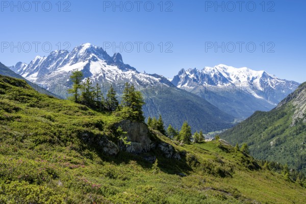 Mountain panorama with glaciated mountain peaks, Aiguille Verte with Aiguille du Midi and Mont
