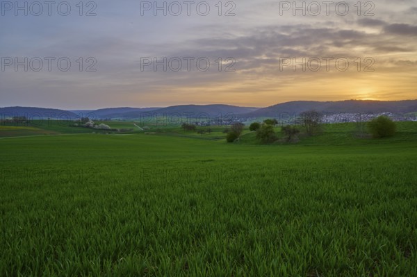 Green meadow in hilly landscape at sunrise with soft clouds in the sky, Mönchberg, Mltenberg,
