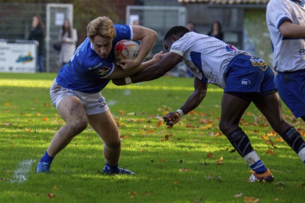 26.10.2024, Rugby 1st Bundesliga South/West, Season 2024/25, Matchday 6: SC Neuenheim vs TSV