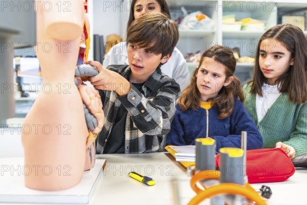 Curious students learning human body anatomy with a teacher and an anatomical model during a
