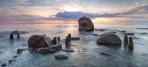 Sunrise on the shore of the Baltic Sea, stones and old groynes in the water, seagull sitting on