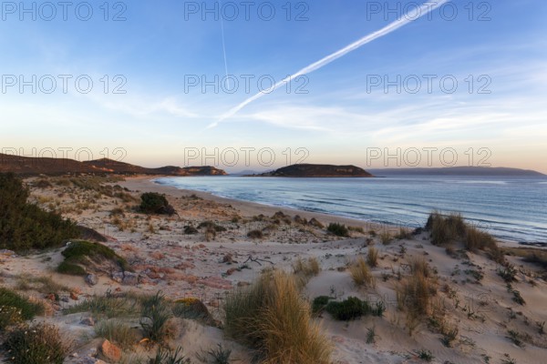 Dune landscape on a dream beach, coastline in the evening light, insider tip, Elafonisos, Deer