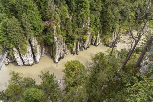 View from the Eibenschlucht viewing platform into the Entenlochklamm gorge, Kössen, Tyrol, Austria,