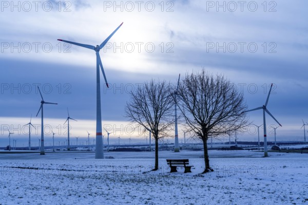 Wind farm, north of Lichtenau, self-proclaimed energy town, over 190 wind turbines and over 1200