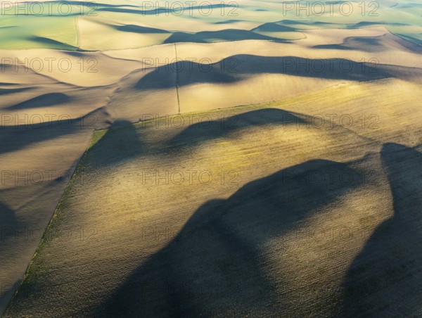 Farmland in the Campiña Cordobesa, the fertile rural area south of the town of Córdoba. Aerial view