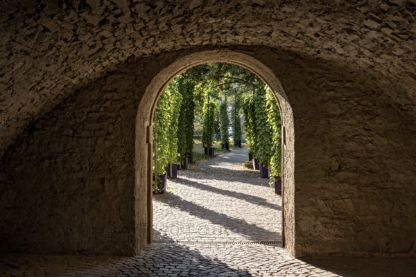 Passage through medieval town wall, vaults of the Bienenmarkt Passage, outside pergola with