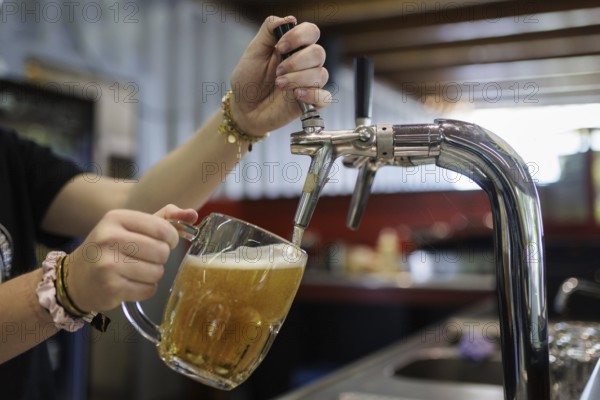 Symbol photo on the subject of serving beer. A woman taps a draught beer in a cafe in Berlin,