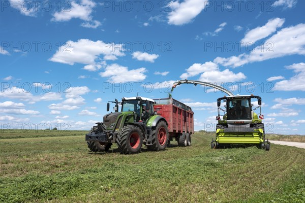 Combine harvester and tractor with trailer harvesting green fodder under a blue sky with cumulus