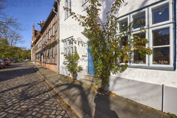 Entrance area of a historic house with evergreen rose (Rosa sempervirens), street An der Obertrave,