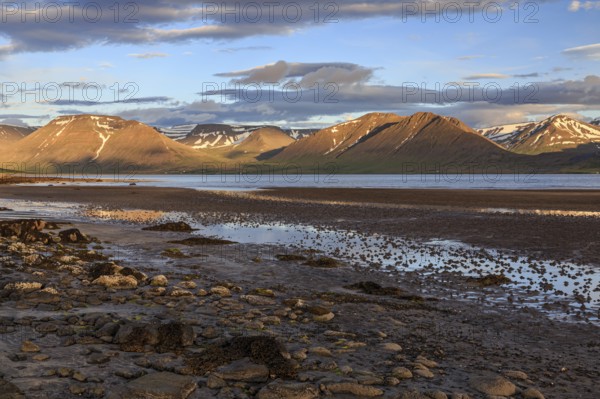 Fjord, low tide, stones, mountains, evening light, cloudy mood, Thingeyri, Westfjords, Iceland,