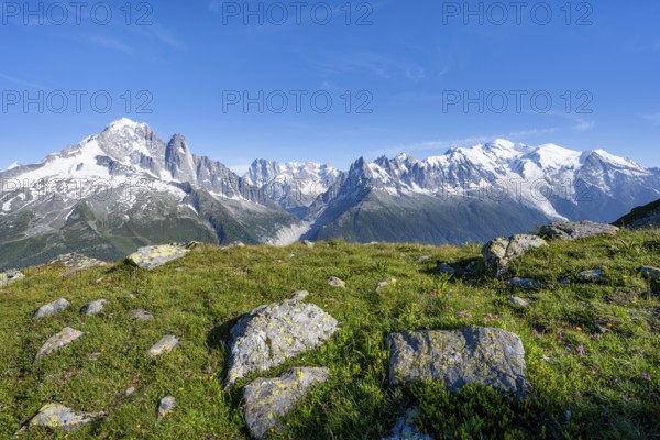 Mountain meadow and mountain panorama, mountain peaks Aiguille Verte, Grandes Jorasses and Mont