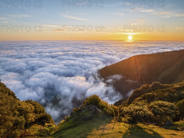 Aerial view of sunrise above clouds and green hills at Fanal mountain, Madeira island, Portugal,