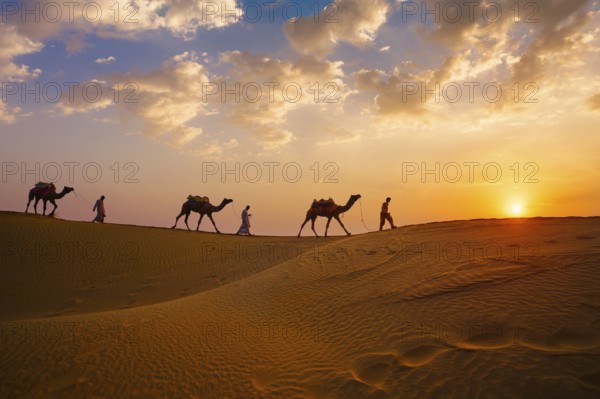 Indian cameleers camel drivers bedouin with camel silhouettes in sand dunes of Thar desert on