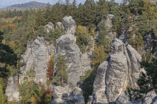Prachov Rocks (Czech: Prachovské skály) are a rock formation in the Bohemian Paradise of the Czech