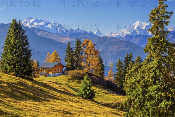 Autumn landscape with chalets and panorama of Dom 4545m, Matterhorn 4478m and Weisshorn 4505m,