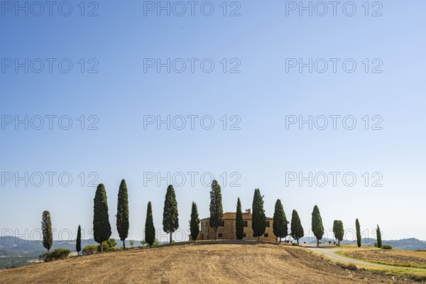 Tuscany landscape with cypresses and farmstead, dawn, 'Podere Cipressini', San Quirico d'Orcia, Val