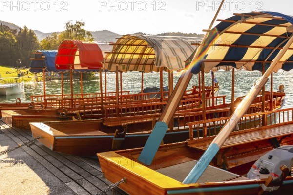 Colorful wooden pletna boats with canopies moored on the shore of lake bled, famous tourist