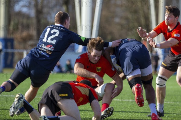 Rugby: Germany against MKS Pogon Awenta Siedlce, Poland in Heidelberg (test match of the German