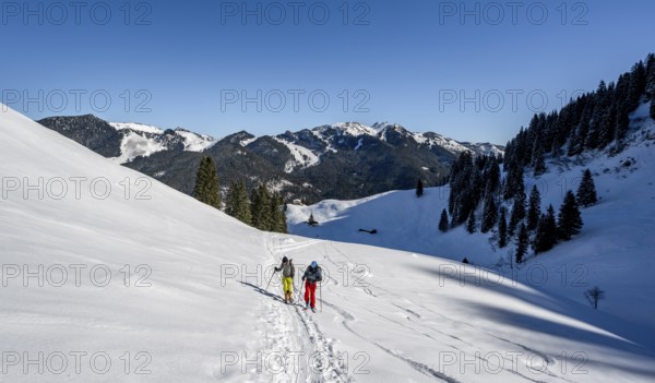 Two ski tourers in a wintry mountain landscape, ascent to Roßkopf, Mangfallgebirge, Bavaria,