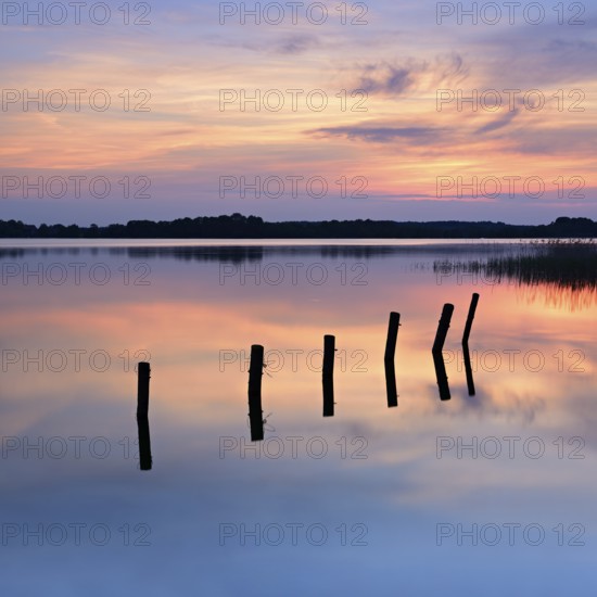 Sunset at Lake Schaalsee, wooden post in the water, Zarrentin am Schaalsee, Schaalsee Biosphere