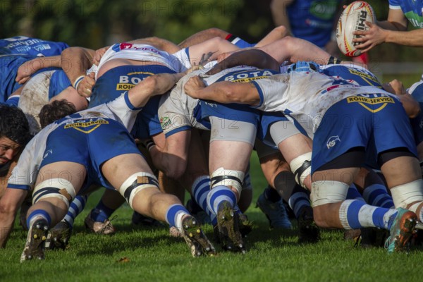 26.10.2024, Rugby 1st Bundesliga South/West, Season 2024/25, Matchday 6: SC Neuenheim vs TSV