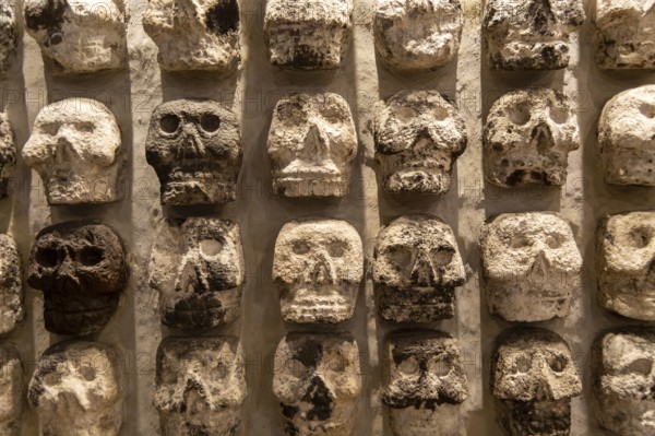 Wall of stone human skulls, archaeological site and museum of Templo Mayor, Mexico City, Mexico,