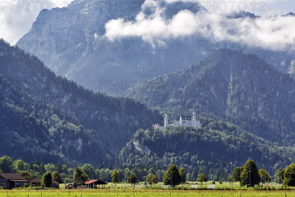 Neuschwanstein Castle in the morning mist, summer, Schwangau, Ostallgäu, Allgäu, Swabia, Upper
