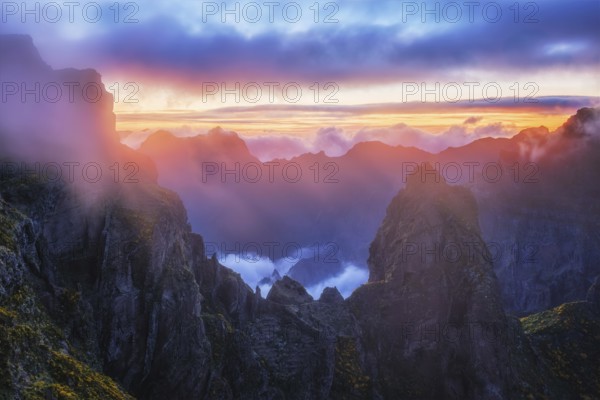 Mountains on sunset covered in fog and clouds with blooming Cytisus shrubs. Near Pico de Arieiro,