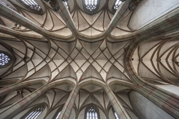 Gothic vaulted ceiling of St Mary's Chapel, Marktplatz 9, Würzburg, Lower Franconia, Bavaria,