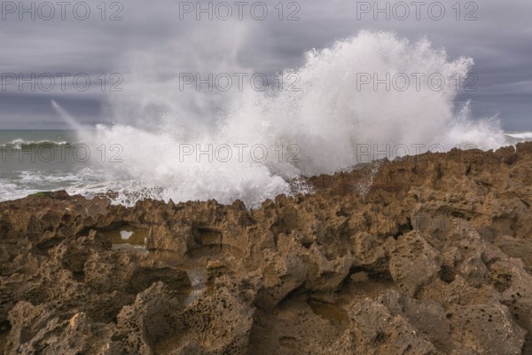 The rocks are scattered throughout the area, with some of them being large and jagged. The water