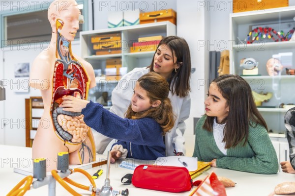Elementary school teacher and students learning about the human body using an anatomical model in a