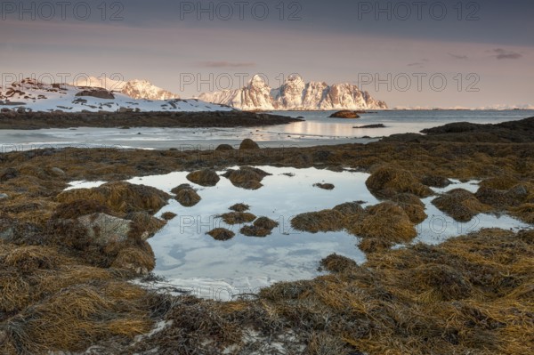 Rugged mountains, Lofoten island Vestvågøya at the fjord Gimsøystraumen, Lofoten, Northern Norway,