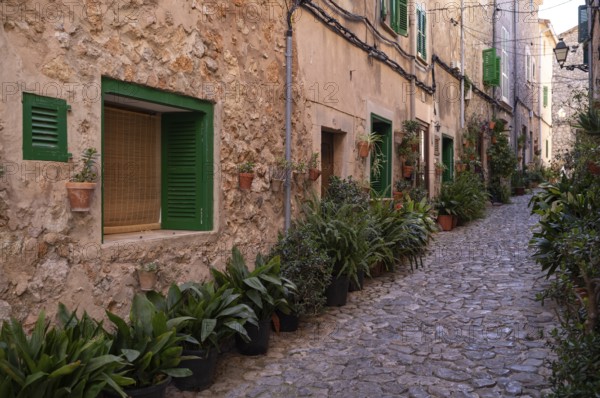 Street of Plants, alley, Valldemossa, Tramuntana Mountains, Serra de Tramuntana, Majorca, Balearic