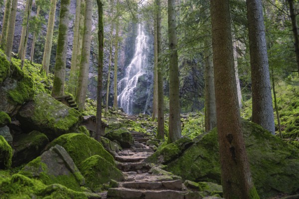 Waterfall surrounded by trees, with moss-covered rocks and a stony path, Burgbach waterfall, Bad