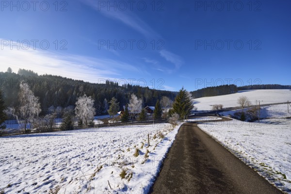 Hilly winter landscape, snow, road, blue sky with veil clouds, Titisee-Neustadt, Black Forest,