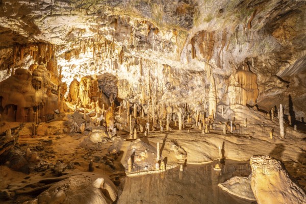Breathtaking view of illuminated stalactites and stalagmites formations inside postojna cave, a