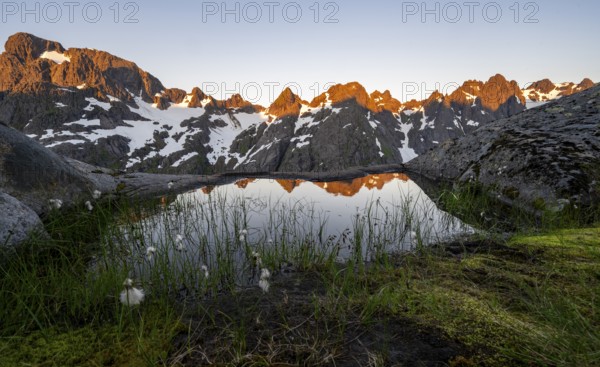 Rocky mountain peaks with reflection, small pond with cotton grass in moor landscape at Trollfjord
