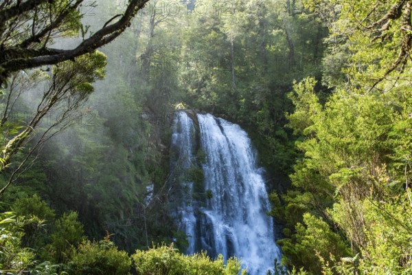 Waterfall in the jungle, Pumalin-Douglas Tompkins National Park, Chaiten, Los Lagos region,