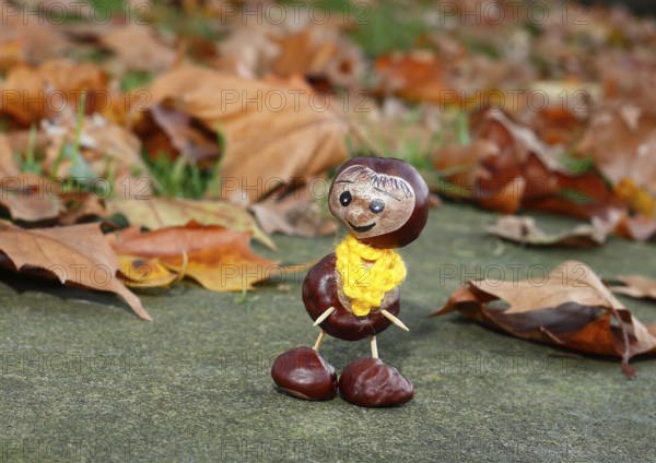 Funny chestnut figure with yellow scarf on a wall in autumn leaves, North Rhine-Westphalia,