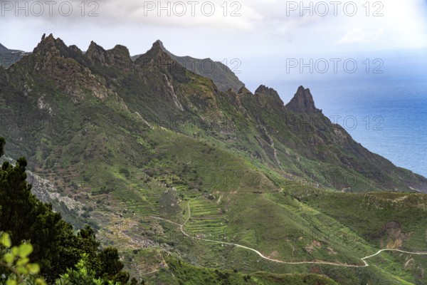 Landscape on the coast in the Anaga Mountains near Taganana, Tenerife, Canary Islands, Spain,