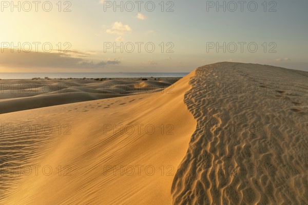 Dunes of Maspalomas, Maspalomas, Gran Canaria, Canary Islands, Spain, Maspalomas, Gran Canaria,