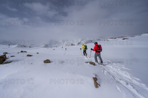 Ski tourers on the descent, snow-covered mountain landscape, Ortler Alps, Vinschgau Valley, Italy,