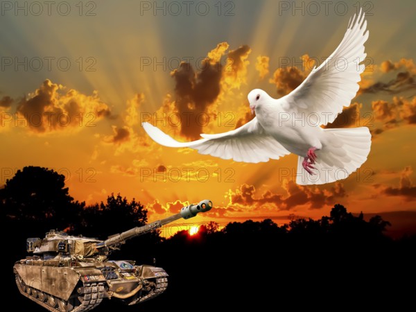 Symbolic image, dove of peace, peoples, international understanding, peace, threat of war, freedom,
