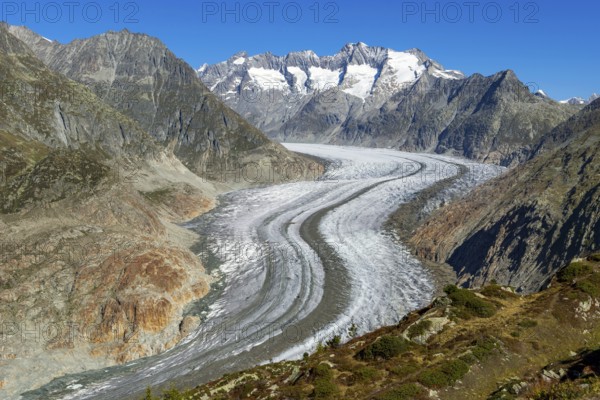 Aletsch glacier, glacier tongue, panorama, climate change, decline, global warming, ice, global