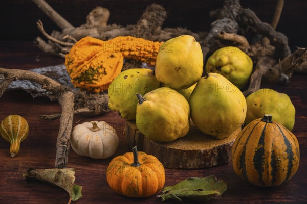 Autumnal still life with quinces, pumpkins and roots on a wooden table