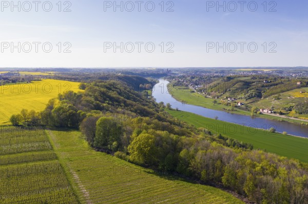 Aerial view of the Elbe valley with vineyards between Coswig and Meißen, Saxon Elbland, Saxony,