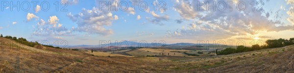 Typical Tuscan landscape in Val d'Orcia with hills, trees, fields, cypresses and farm road in