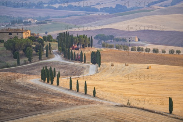Typical Tuscan landscape in Val d'Orcia with hills, trees, fields, cypresses and farm road in