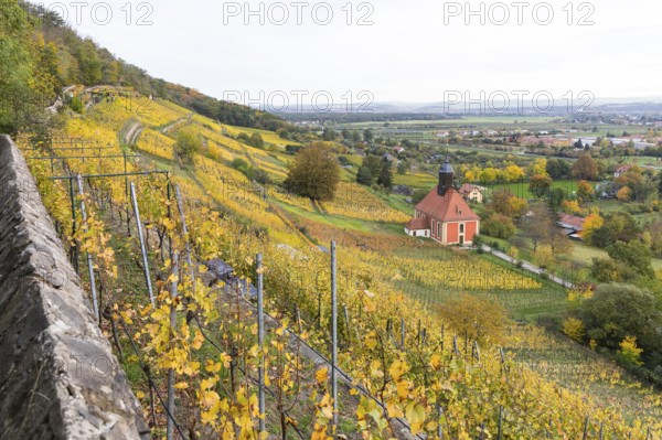Vineyard church Zum Heiligen Geist in the middle of the autumn-coloured vineyards of Pillnitz,